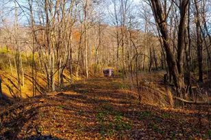 28302 Hwy 80, Richland Center, WI 53581 - Photo 60