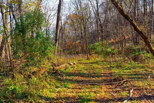 28302 Hwy 80, Richland Center, WI 53581 - Photo 50