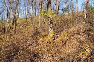 28302 Hwy 80, Richland Center, WI 53581 - Photo 56