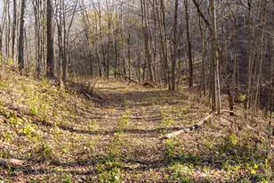 28302 Hwy 80, Richland Center, WI 53581 - Photo 44