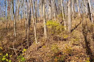 28302 Hwy 80, Richland Center, WI 53581 - Photo 50