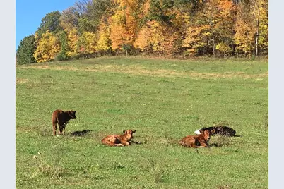 28302 Hwy 80, Richland Center, WI 53581 - Photo 78