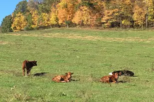 28302 Hwy 80, Richland Center, WI 53581 - Photo 78
