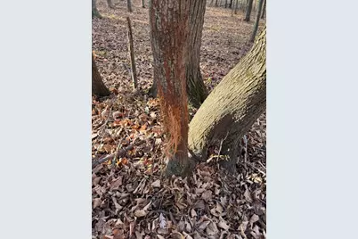 28302 Hwy 80, Richland Center, WI 53581 - Photo 32