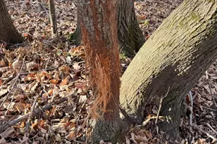 28302 Hwy 80, Richland Center, WI 53581 - Photo 32