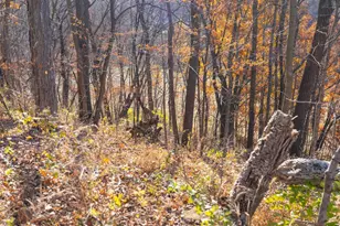 28302 Hwy 80, Richland Center, WI 53581 - Photo 36