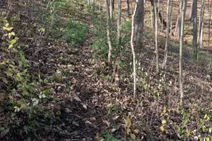 28302 Hwy 80, Richland Center, WI 53581 - Photo 42