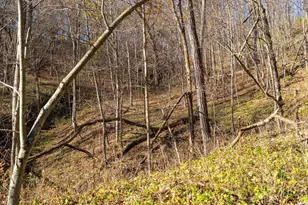 28302 Hwy 80, Richland Center, WI 53581 - Photo 42