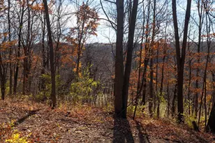 28302 Hwy 80, Richland Center, WI 53581 - Photo 40