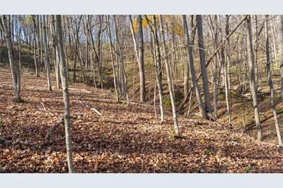 28302 Hwy 80, Richland Center, WI 53581 - Photo 46