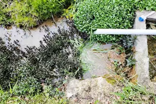 145 S Witham Rd, Ontario, WI 54651 - Photo 60