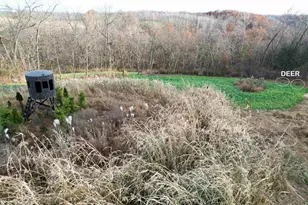 32974 Potter Ln, Muscoda, WI 53573 - Photo 6