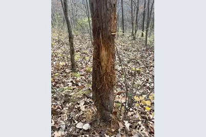 32974 Potter Lane, Muscoda, WI 53573 - Photo 14