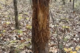 32974 Potter Ln, Muscoda, WI 53573 - Photo 14