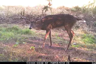 32974 Potter Ln, Muscoda, WI 53573 - Photo 16