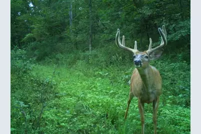 32974 Potter Lane, Muscoda, WI 53573 - Photo 1