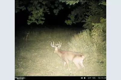 32974 Potter Lane, Muscoda, WI 53573 - Photo 50