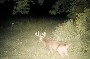 32974 Potter Ln, Muscoda, WI 53573 - Photo 50