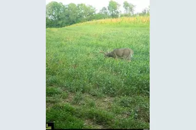 32974 Potter Lane, Muscoda, WI 53573 - Photo 46