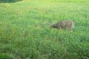 32974 Potter Ln, Muscoda, WI 53573 - Photo 46