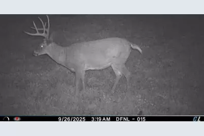 32974 Potter Lane, Muscoda, WI 53573 - Photo 12