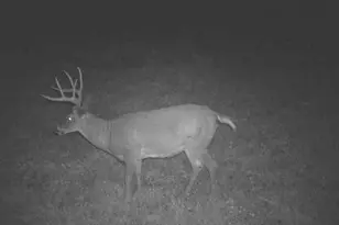 32974 Potter Ln, Muscoda, WI 53573 - Photo 12