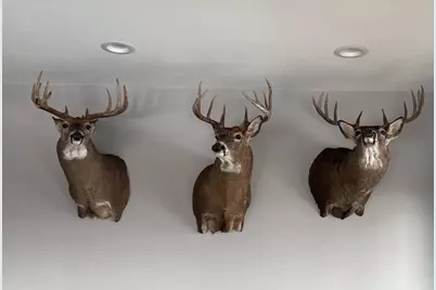 32974 Potter Lane, Muscoda, WI 53573 - Photo 2