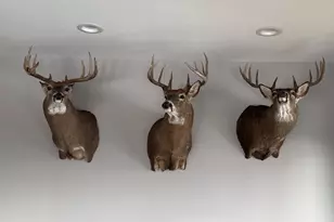 32974 Potter Ln, Muscoda, WI 53573 - Photo 2