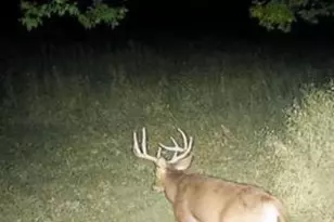 32974 Potter Ln, Muscoda, WI 53573 - Photo 48