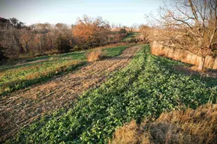 32974 Potter Ln, Muscoda, WI 53573 - Photo 70