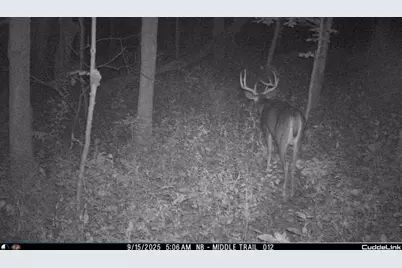 32974 Potter Lane, Muscoda, WI 53573 - Photo 42