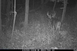 32974 Potter Ln, Muscoda, WI 53573 - Photo 42