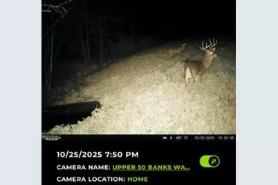 32974 Potter Lane, Muscoda, WI 53573 - Photo 52