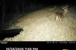 32974 Potter Ln, Muscoda, WI 53573 - Photo 52