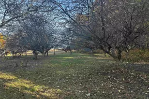 W1712 Deerborn Dr, Neshkoro, WI 54960 - Photo 28