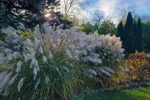 1713 E Howard Dr, Edgerton, WI 53534 - Photo 8