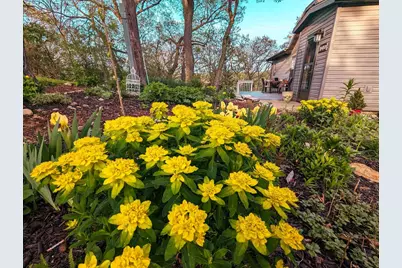 10168 N Edgewood Shores Road, Edgerton, WI 53534 - Photo 6