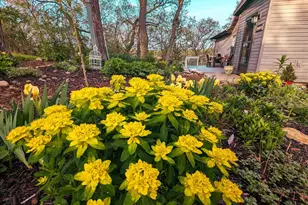 10168 N Edgewood Shores Rd, Edgerton, WI 53534 - Photo 6