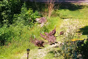 10168 N Edgewood Shores Rd, Edgerton, WI 53534 - Photo 46