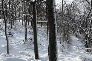 245 Whitetail Ln, Deerfield, WI 53531 - Photo 44