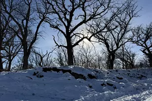 245 Whitetail Ln, Deerfield, WI 53531 - Photo 42