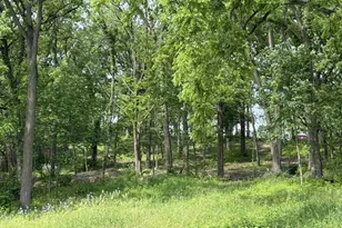 229 Whitetail Ln, Deerfield, WI 53531 - Photo 68