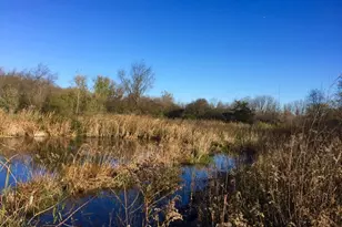 229 Whitetail Ln, Deerfield, WI 53531 - Photo 64