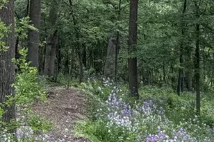 229 Whitetail Ln, Deerfield, WI 53531 - Photo 56