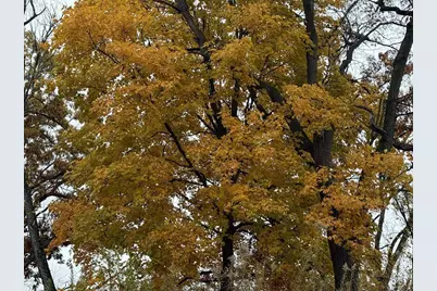 229 Whitetail Lane #27, Deerfield, WI 53531 - Photo 52