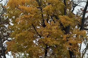 229 Whitetail Ln, Deerfield, WI 53531 - Photo 52