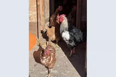 S2547 State Hwy 58, La Valle, WI 53941 - Photo 38