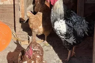 S2547 State Hwy 58, La Valle, WI 53941 - Photo 38