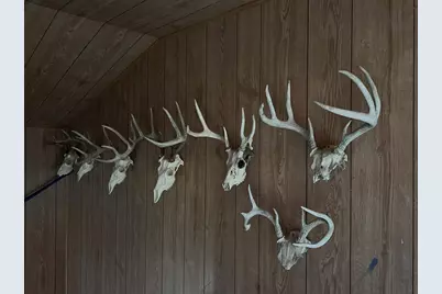 S2547 State Hwy 58, La Valle, WI 53941 - Photo 12