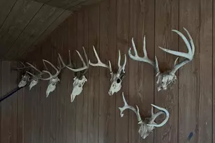 S2547 State Hwy 58, La Valle, WI 53941 - Photo 12